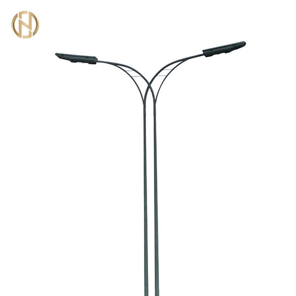 Tanah Dipasang 3m 6m 8m 12m Disesuaikan Hot Dip Galvanized Octagonal Outdoor Lamp Post untuk pencahayaan jalan